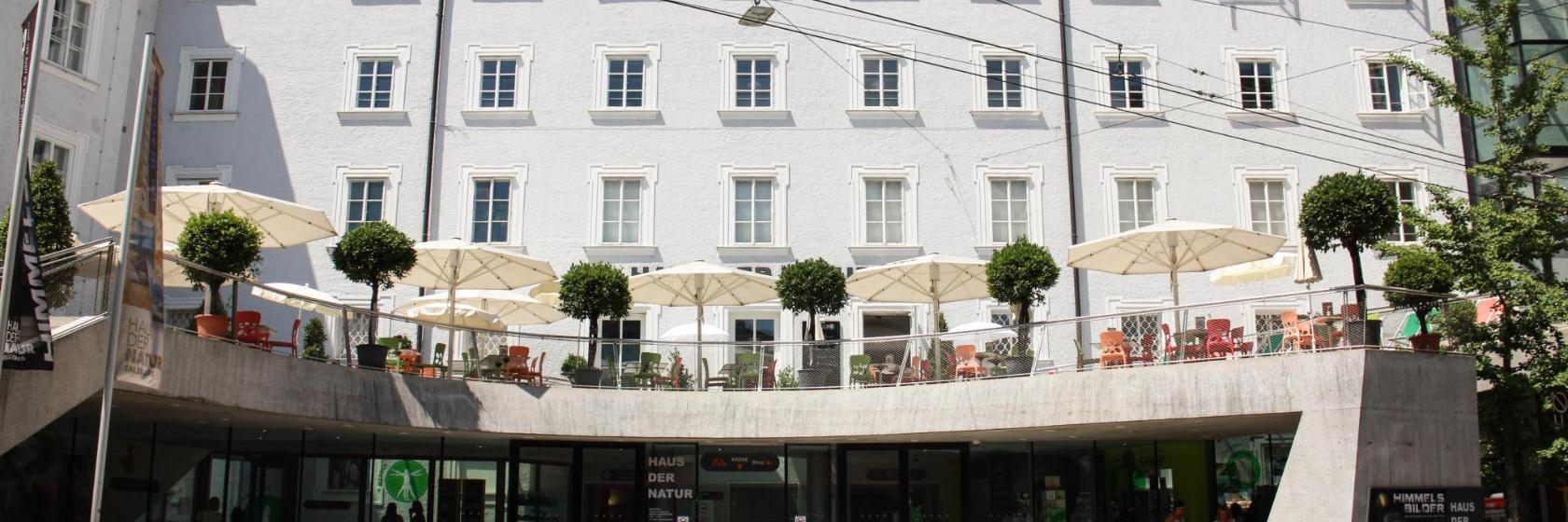 Musée d'histoire naturelle